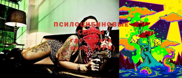 винт Алексин