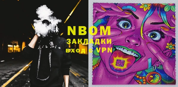 прущий лед Алзамай