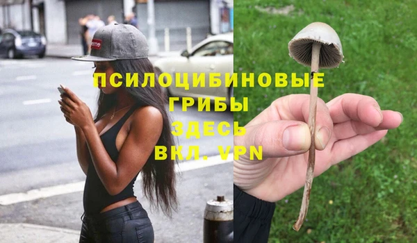 mix Алексеевка